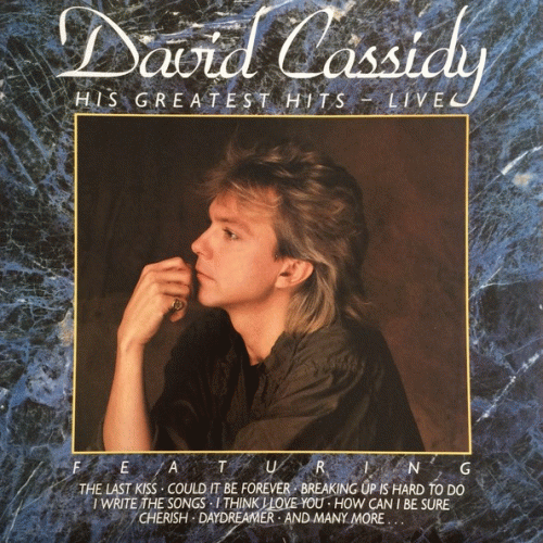 David Cassidy : His Greatest Hits Live